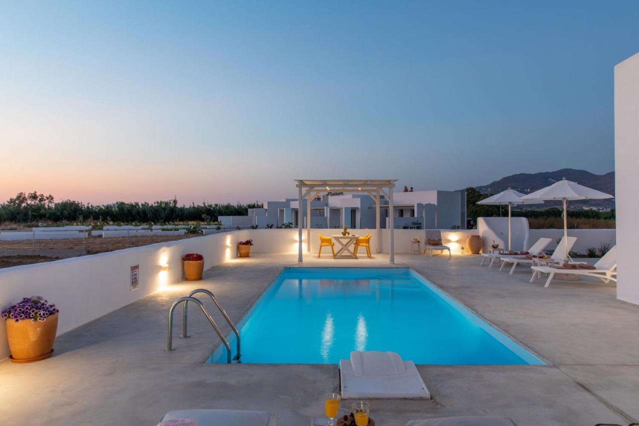 Naxian Lounge Villas Naxos City Extérieur photo