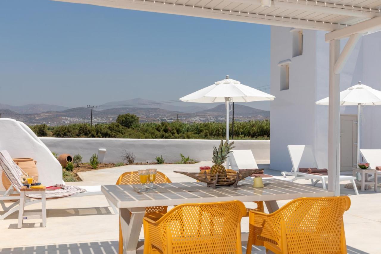 Naxian Lounge Villas Naxos City Extérieur photo