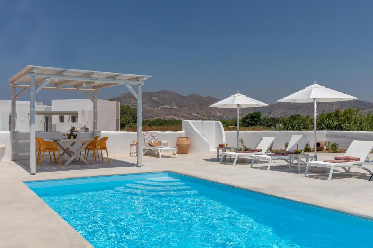 Naxian Lounge Villas Naxos City Extérieur photo