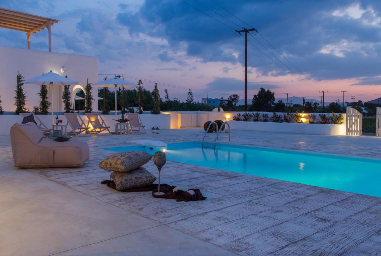 Naxian Lounge Villas Naxos City Extérieur photo
